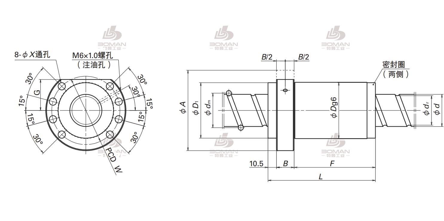 BSS5010-4E-BSS标准系列丝杠